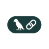 Technology Icon